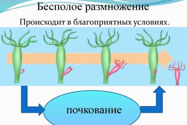 Кракен даркнет маркет ссылка на сайт тор